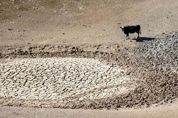 Drought damage on Walnut Creek Ranch in CA in 2014. By U.S. Department of AgricultureCynthia Mendoza/Videographer/USDA photo by Cynthia Mendoza (20141119-OC-CM-0112) [Public domain], via Wikimedia Commons