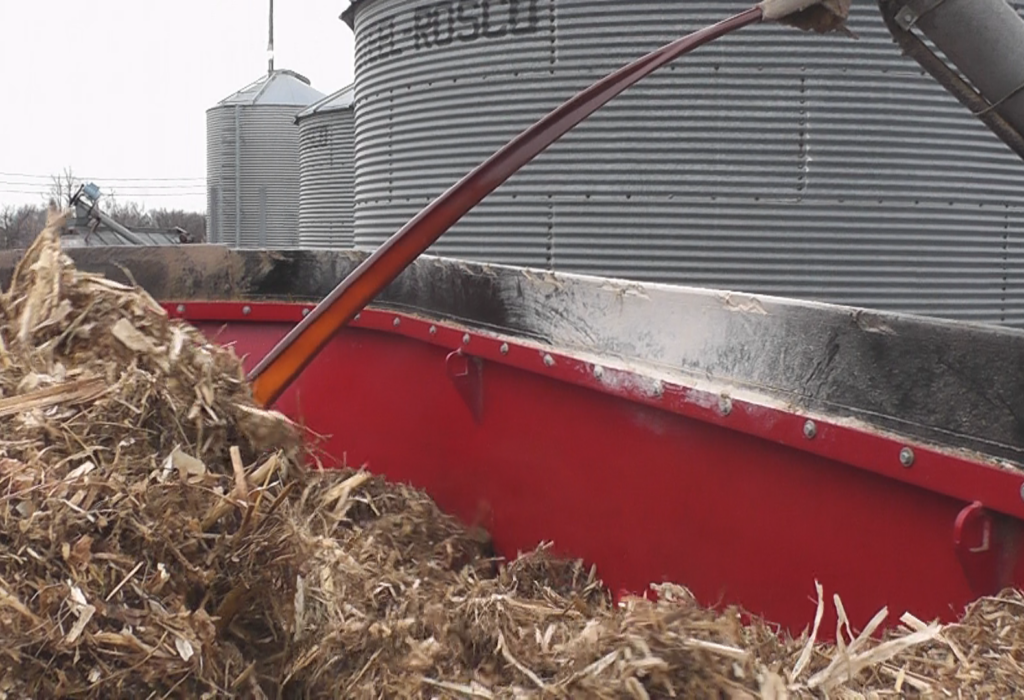 Maximizing Beef Nutrition: Corn Stover in TMR by Dr. Vaage